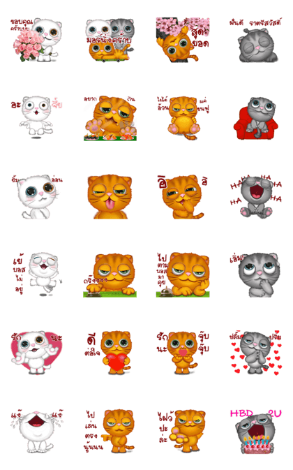 Big eyes cats