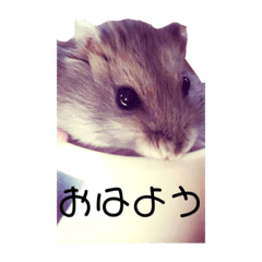 vivi_20210325083327