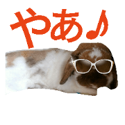 Cute rabbit sticker part 4