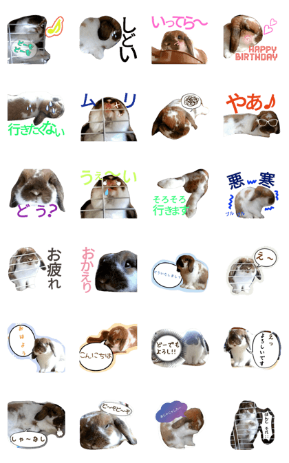 Cute rabbit sticker part 4