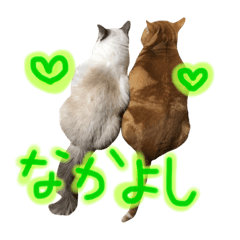 hana_20210324222444