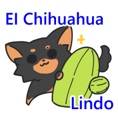 Lovely Chihuahua (Spanish)