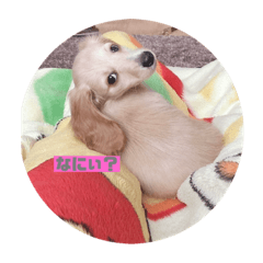 rina_20210325010857