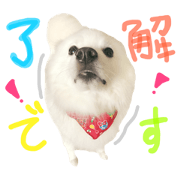 Spitz"pearl"