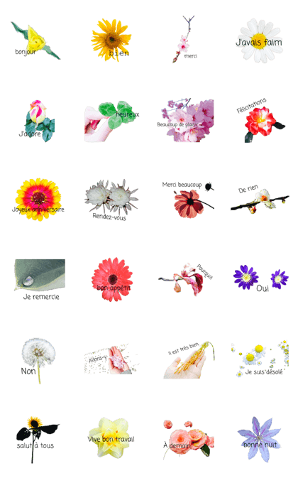 Various flowers and French