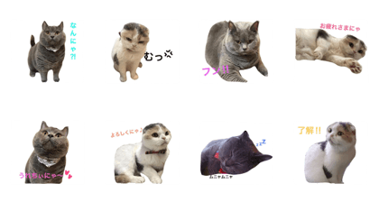 Cat's sister Moco and Coco stamp