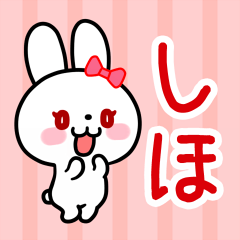 The white rabbit with ribbon for"Shiho"