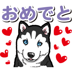 わんこ日和 シベリアンハスキーの仔犬4 Line スタンプ Line Store