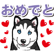Wanko-Biyori Puppy of Siberian husky 4
