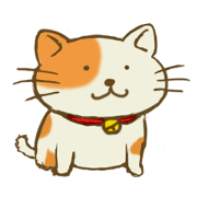 Friendly and honest cat