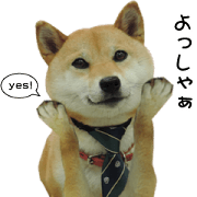 shibainu response sticker