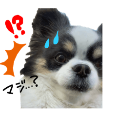 Hikari_20210325113041