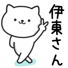 Cat For ITO Daily Use