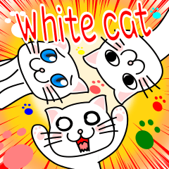 It is a basic set of third white cat.