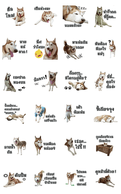 Husky-Husko
