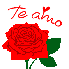 [Spanish] " I LOVE YOU " Red roses