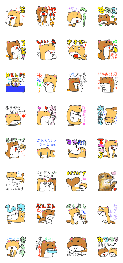 Angry otter and pretty otter