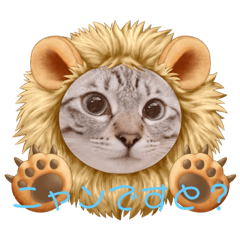 nitoyon_20210324200717
