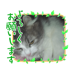 So_20210325104527
