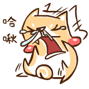 Shiba Inu Douge