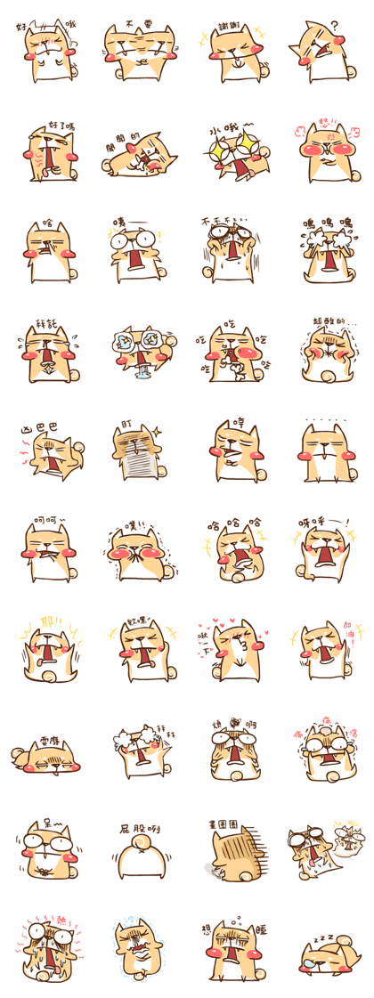 Shiba Inu Douge