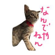 Go Go Coco chan2