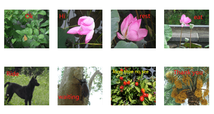 Each group