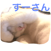 su-sansu-san
