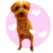sabchiyo.kunkun sticker