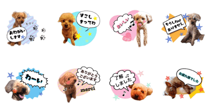 sabchiyo.kunkun sticker