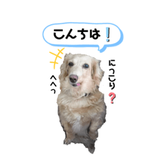SAYA_20210325132547