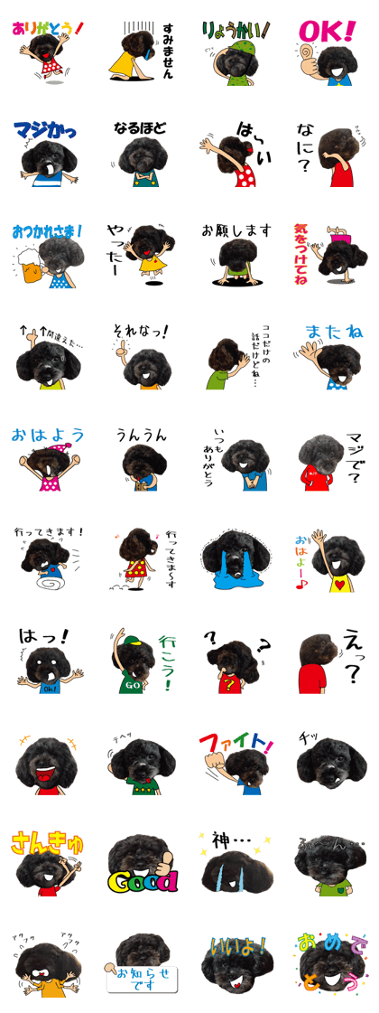 The toy poodle photo sticker 2