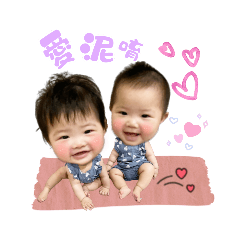 雙寶大毛二毛來了❤️