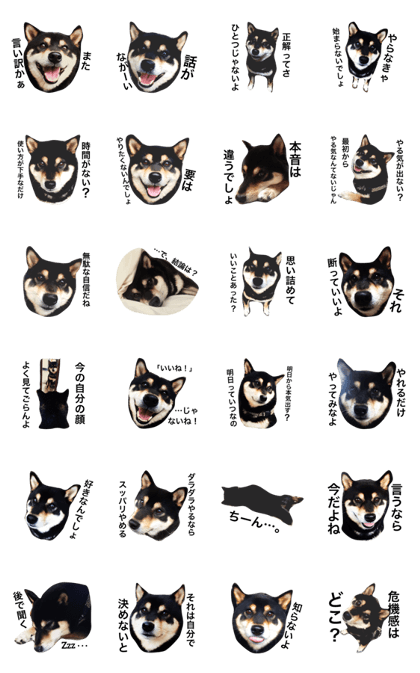 Sticker of a black shibainu"Hijiki"