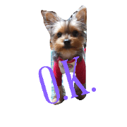 dog dog2