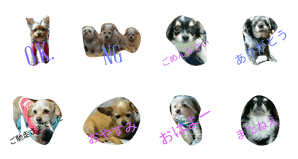 dog dog2