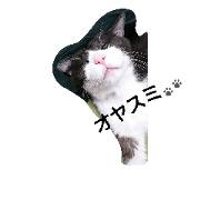 tabi 1
