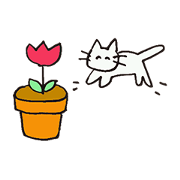Daily chat with your slowlife.
