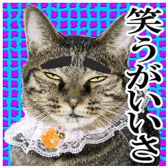 Laughable Cat Family Line Stickers Line Store