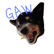 ladydog