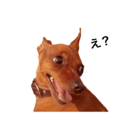 Minpin's Talk 2