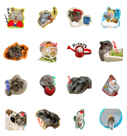 pu-'s family