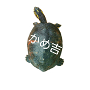 TURTLE KAMEKICHI