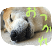 momotasu2