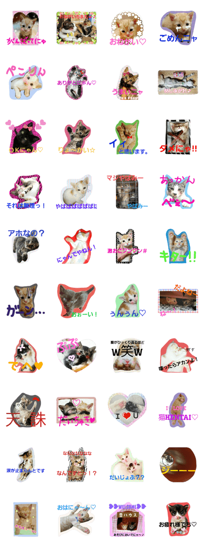 sticker of a cute kitten