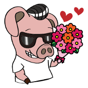 I am a handsome pig