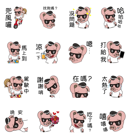 I am a handsome pig