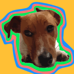 Mr.Jack