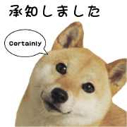 shibainu's honorific sticker