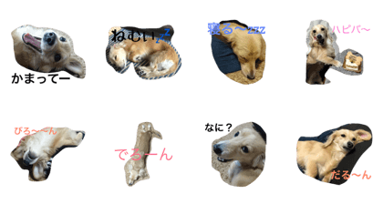 Natsu's daily life